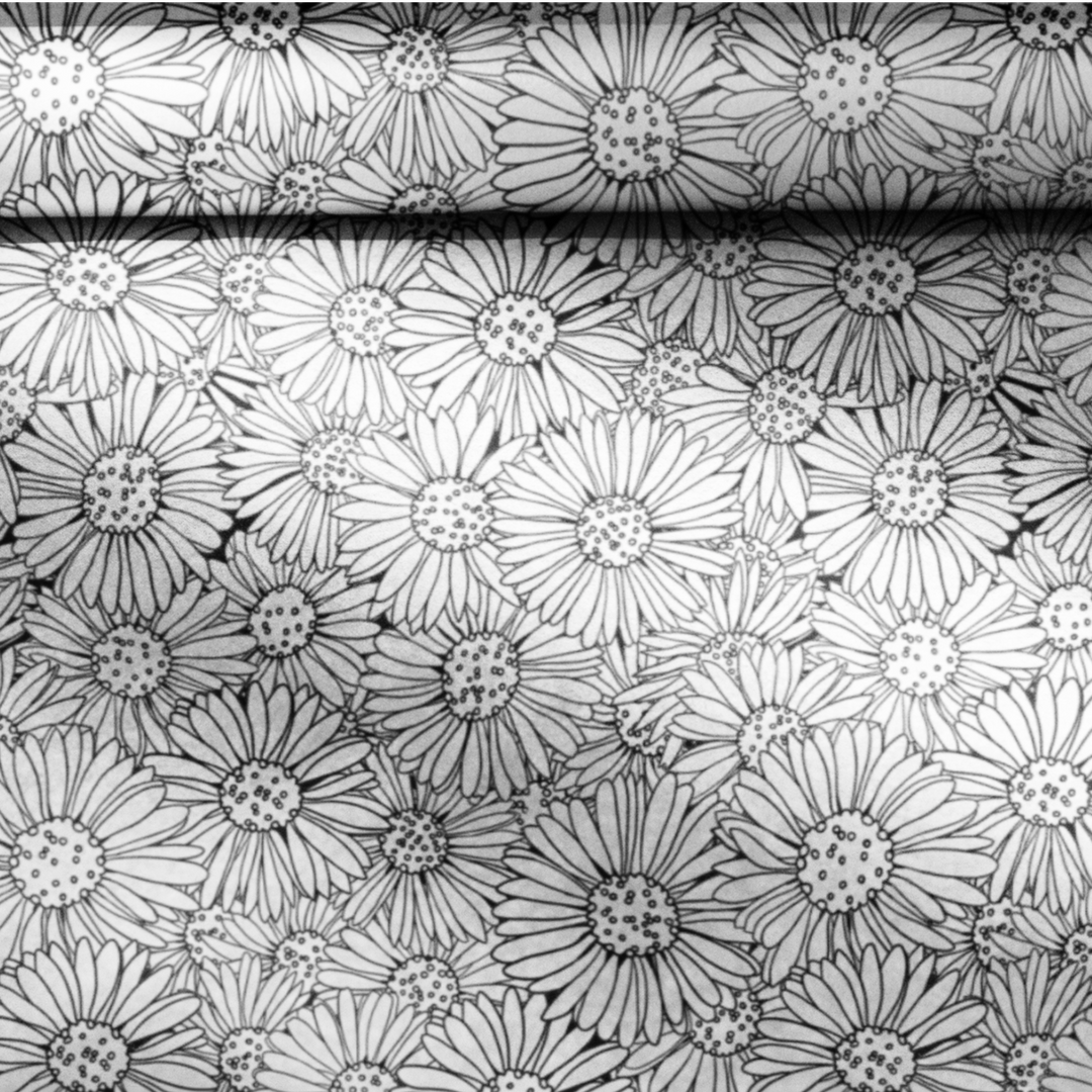 Daisy Days Wrapping Paper